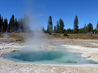 Yellowstone West Thumb Area (43).JPG
